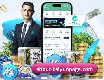 开云电脑版 APP 深度功能
