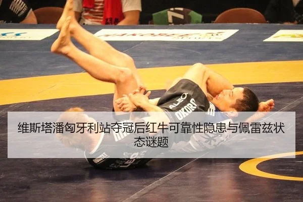 wei-si-ta-pan-xiong-ya-li-zhan-duo-guan-hou-hong-niu-ke-kao-xing-yin-huan-yu-pei-lei-zi-zhuang-tai-mi-ti-2-821.jpg